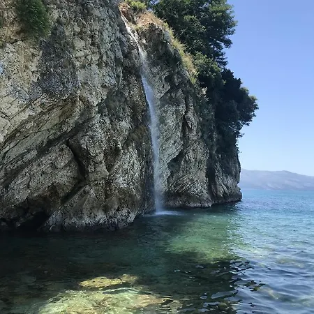 Albert's * Vlorë